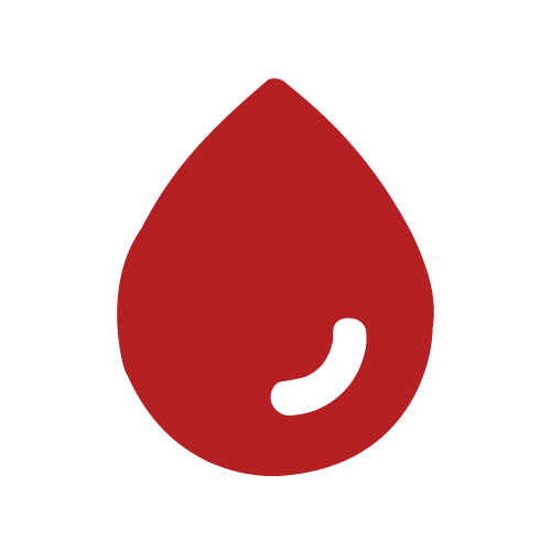 Life Assure Classic Home Medical Alert Device